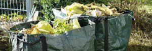 garden rubbish in Newtown
